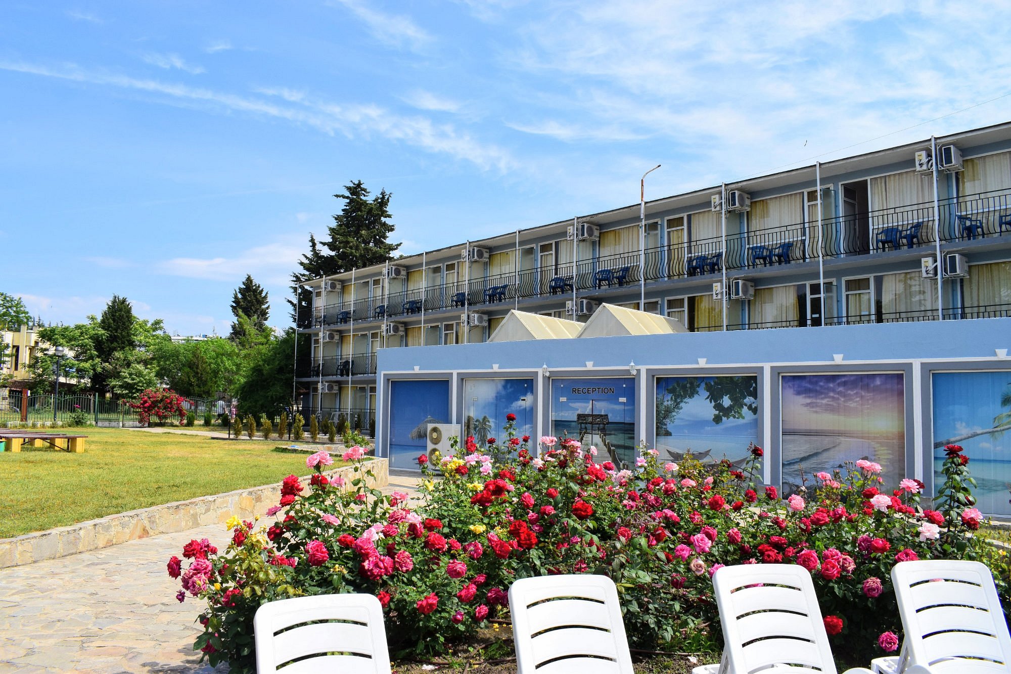 Rose garden in front of the hotel
